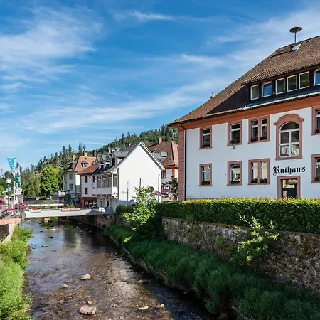 Kloster Meister Haus 15 アパート ザンクト・ブラージエン